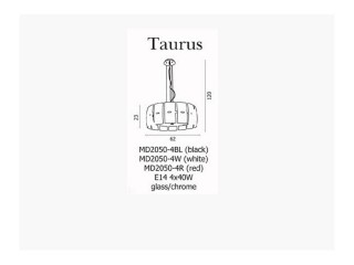 Taurus č.5