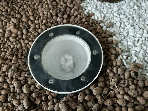 Arealite discovery